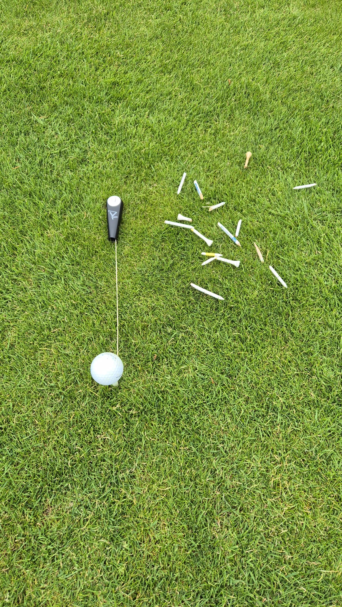 YURTY GOLF